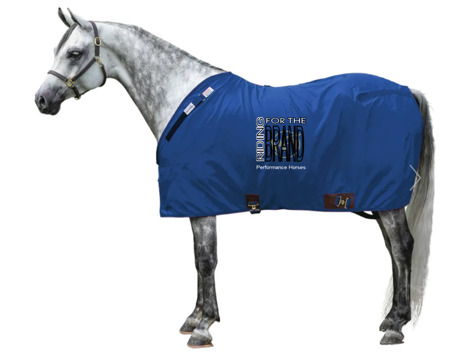 Riding for the Brand Adjusta Fit Dura-Nylon Stable Sheet