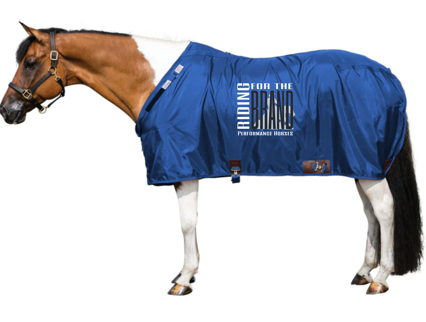 Riding for the Brand Adjusta Fit Dura-Nylon Stable Sheet